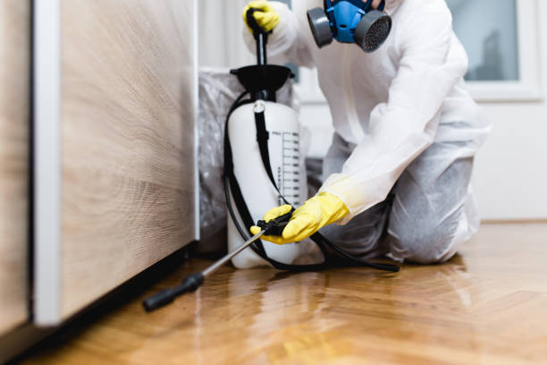 Best Pest Control Near Me  in Lancaster, PA