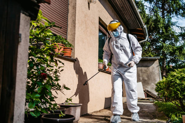 Best Rat Extermination Near Me  in Lancaster, PA