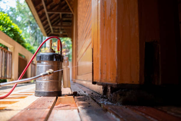 Best Mosquito Control Services  in Lancaster, PA
